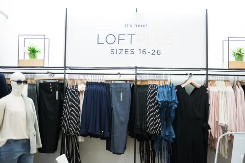 Loft plus size in store online